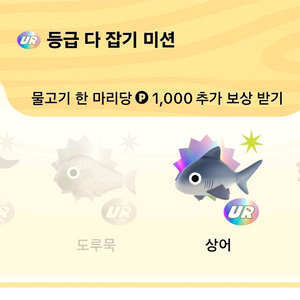 틱톡라이트 문피쉬 도루묵 실러캔스 3마리 일괄8만에사요