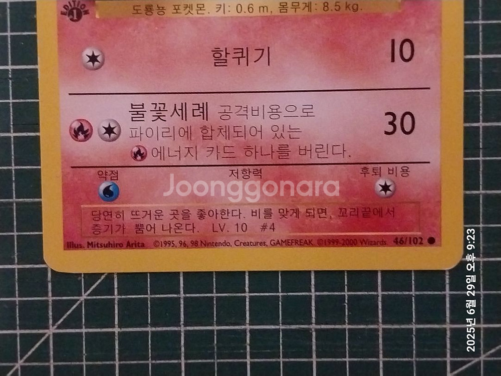 포켓몬카드 파이리, 리자드 초판 1st 일괄--3