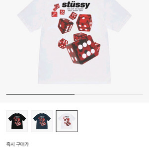 (L) 스투시 롤러스 티셔츠 화이트