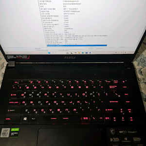 MSI GS66 Stealth 10SD