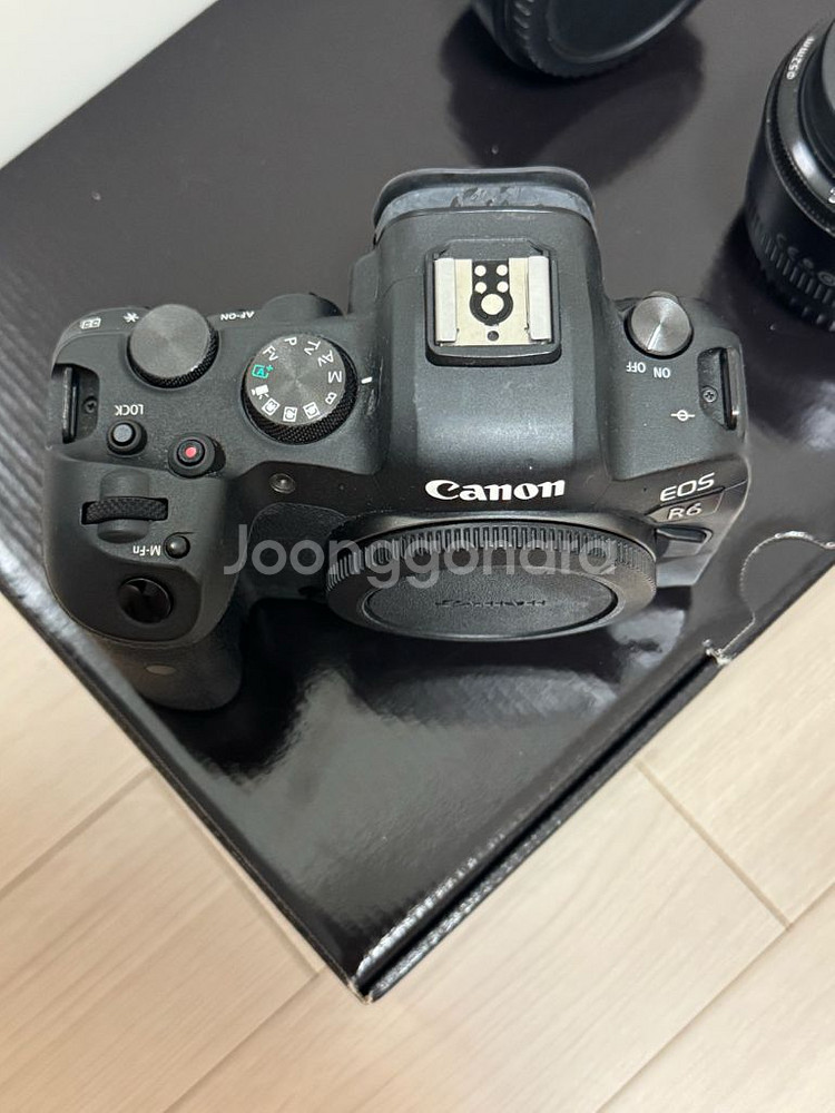 캐논 R6--2