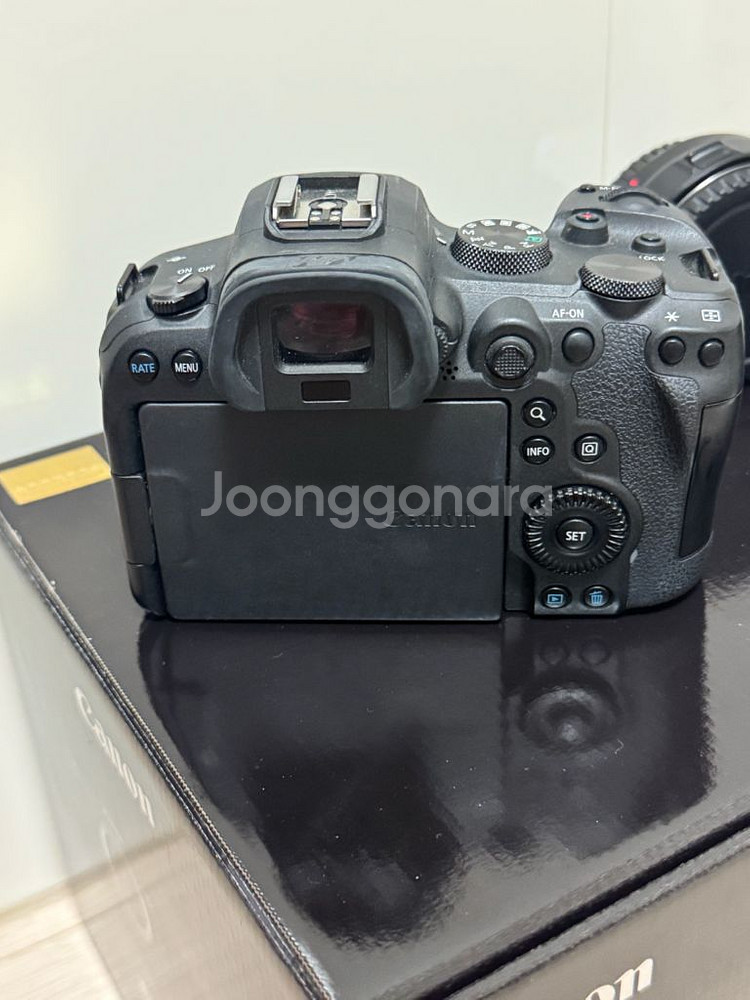 캐논 R6--3