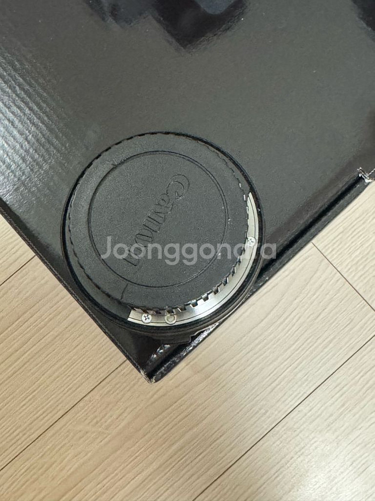 캐논 R6--4