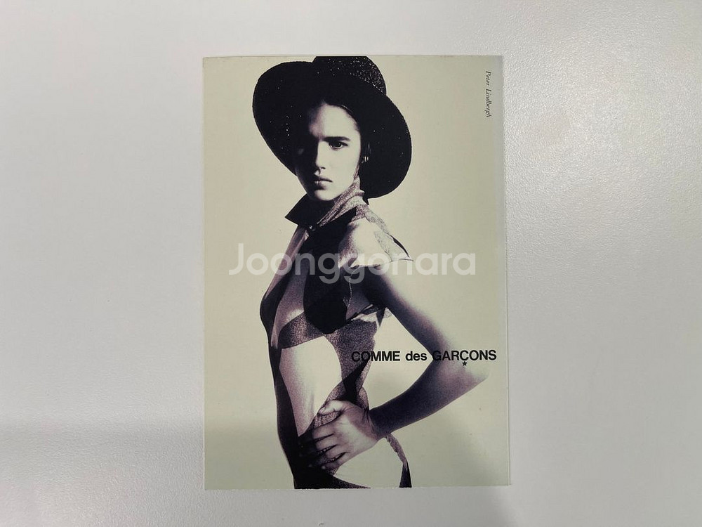 꼼데가르송 COMME des GARCONS 아트 포토--1