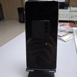갤럭시 S21 5G 256GB