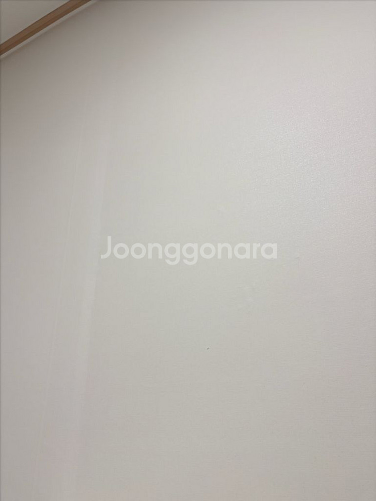 아이폰 16 화이트 128기가 자급제 아이폰 16 12--9