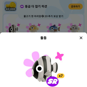 틱톡 낚시 돌돔 복어 참다랑어 판골린 개당200원 판매