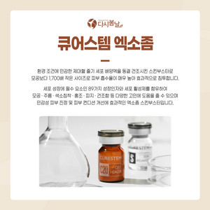 큐어스템 C20 줄기세포 엑소좀 베로니카컨셉 구매