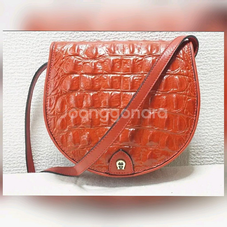 아이그너 크로스바디--0