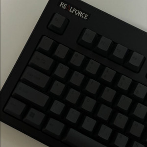 리얼포스 r3 영문 블랙 45g 급처