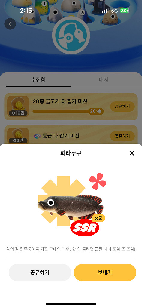 틱톡라이트 피라루쿠 판매합니다--0