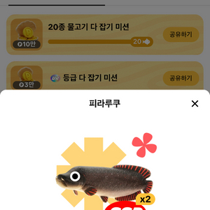 틱톡라이트 피라루쿠 판매합니다