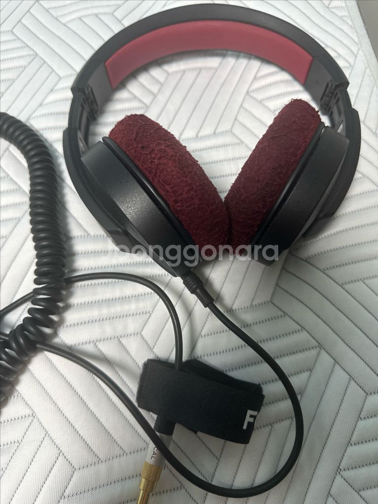 focal professional 헤드셋--1