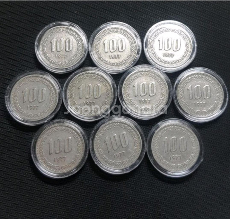 1977년 100원주화 10개일괄.주화 화폐 한국은행--0