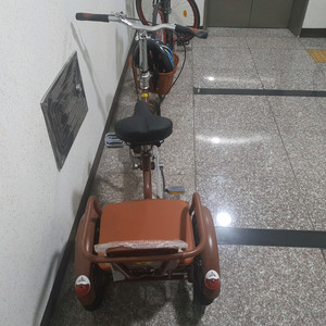 성인용 세발자전거