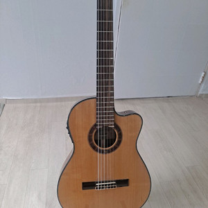 클래식기타 고퍼우드 C600TRCE