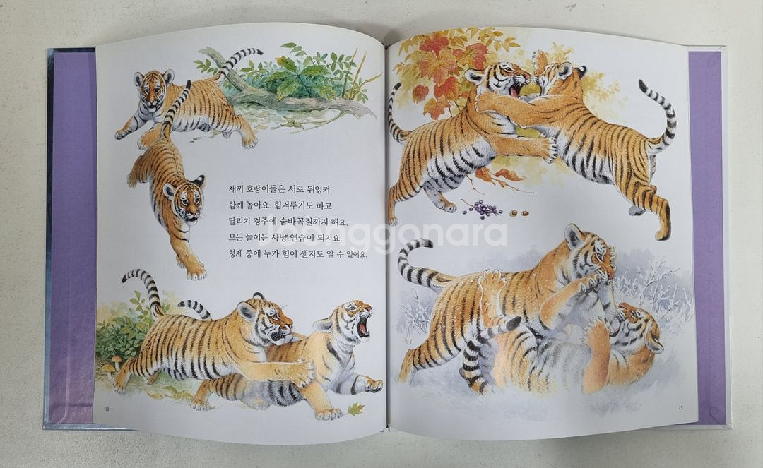 한걸음먼저 자연탐구 (택포)--2