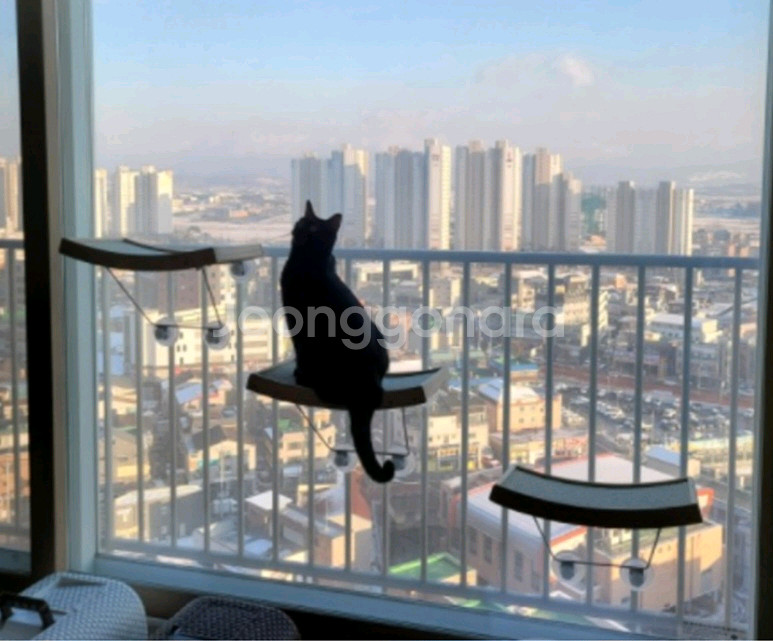 해리스힐 고양이 원목 스크래쳐 창문 해먹, L,2개--0