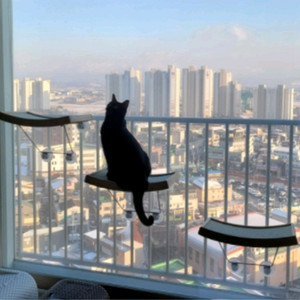 해리스힐 고양이 원목 스크래쳐 창문 해먹, L,2개