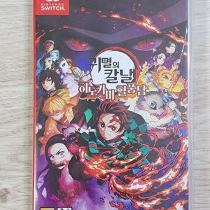 닌텐도 스위치 귀멸의칼날 히노카미 혈풍당