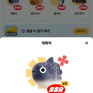 개복치 피라루쿠 황새치 팔아요