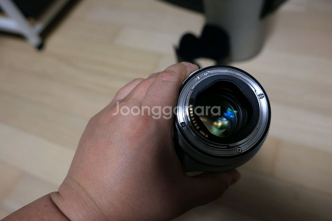 새아빠백통 캐논 70-200mm f2.8 II--3