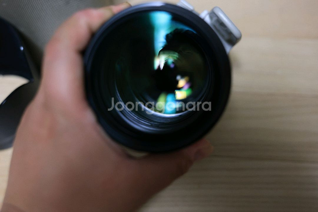 새아빠백통 캐논 70-200mm f2.8 II--2