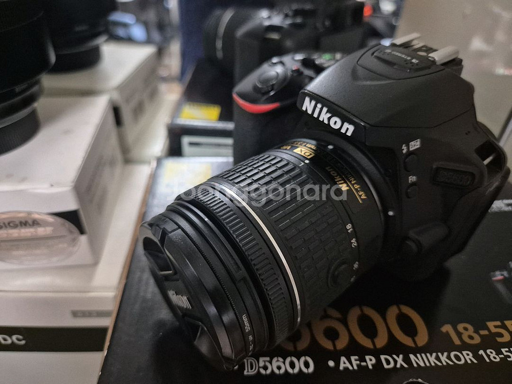 니콘 d5600 아트삼식이--1