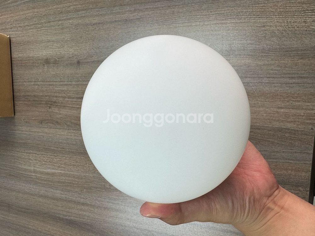 아르떼미데 디오스쿠리 14cm 새상품--1