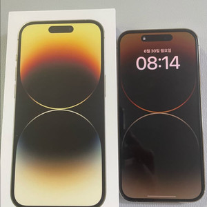 아이폰 14 Pro 골드 256GB(자급제)