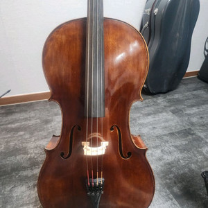은파악기연주용첼로Gloria Strings 4/4
