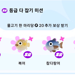 돌돔,복어,참다랑어,판골린 이미지