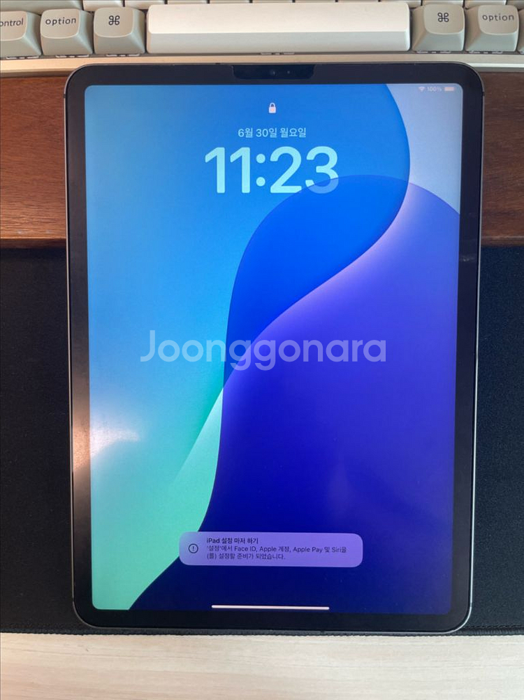 아이패드프로 11인치 셀룰러--1