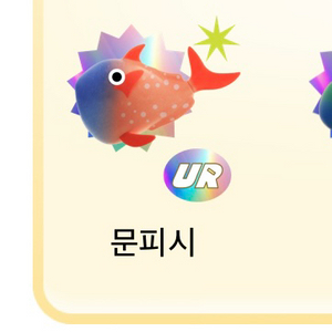 문피시,상어,실러캔스 10만 삽니다