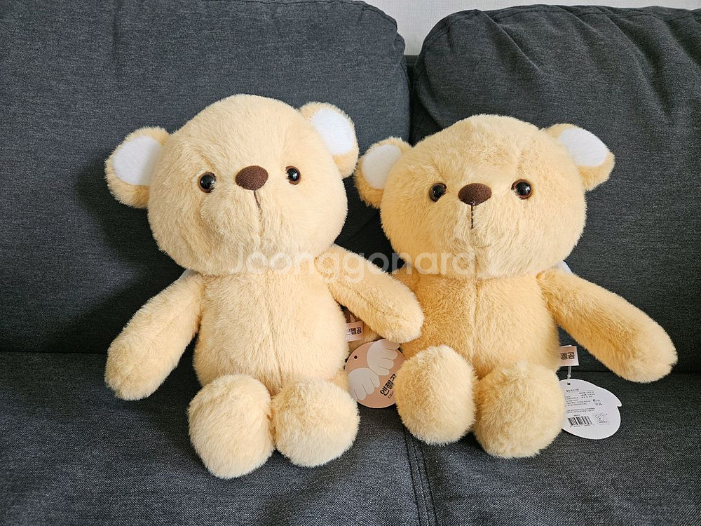 엔젤곰 인형--0