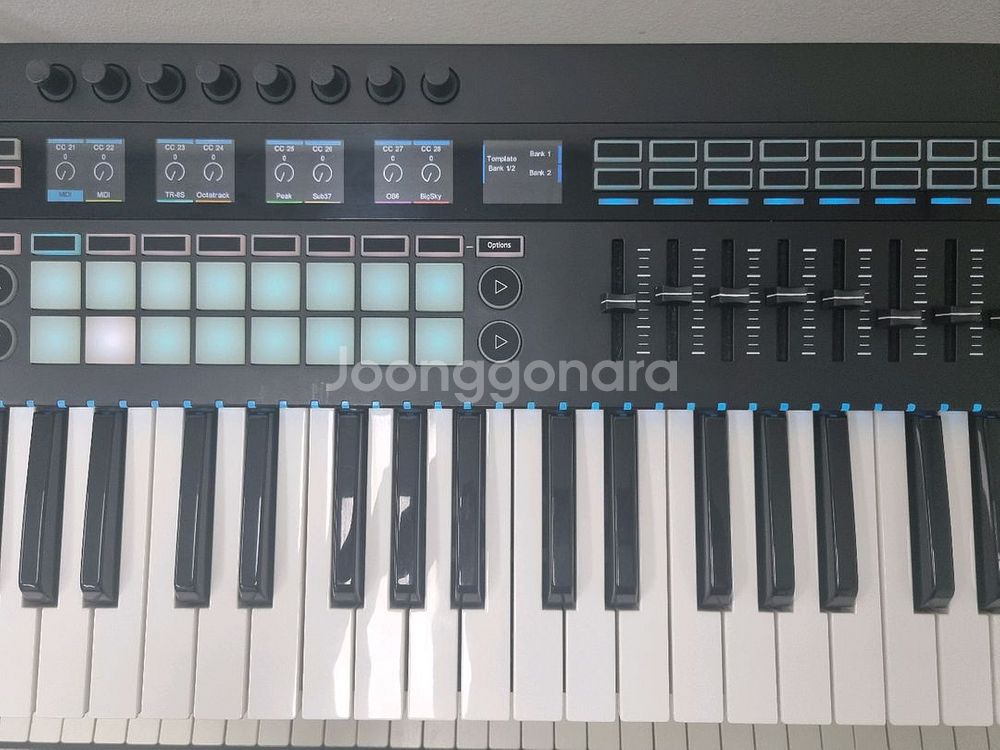 Novation SL61 MK3 마스터 키보드--2
