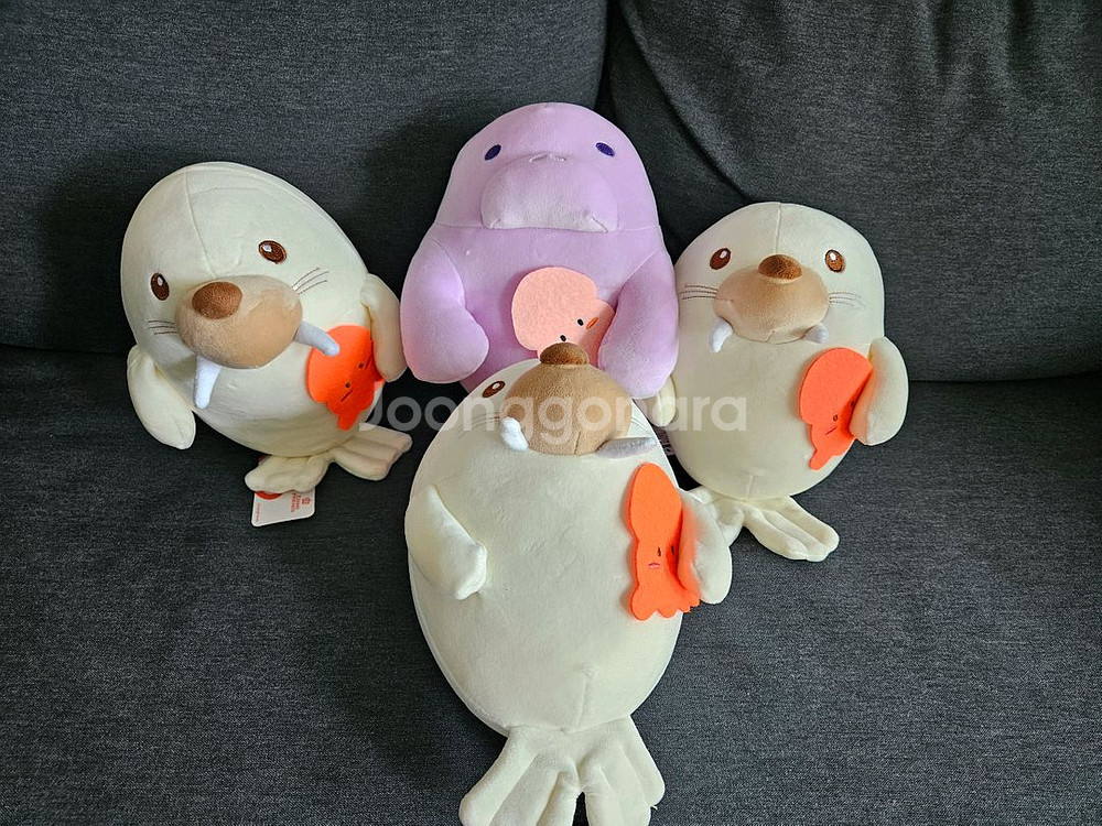 물개인형--0