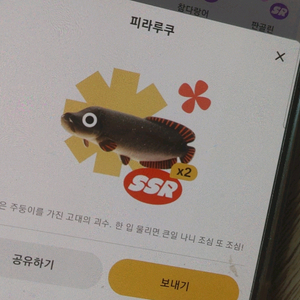 랜턴피시 구해요(교환)