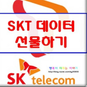 skt 데이터