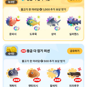 개복치,피라루쿠,렌턴피시 사요