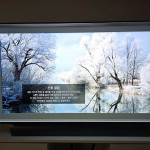 상태 좋아요 LG OLED 55인치 TV 팝니다
