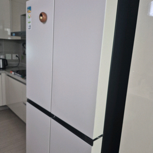 LG 오브제 냉장고 870L