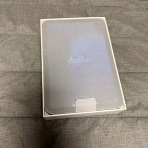 아이패드 미니 6세대 와이파이256G + 애플 펜슬