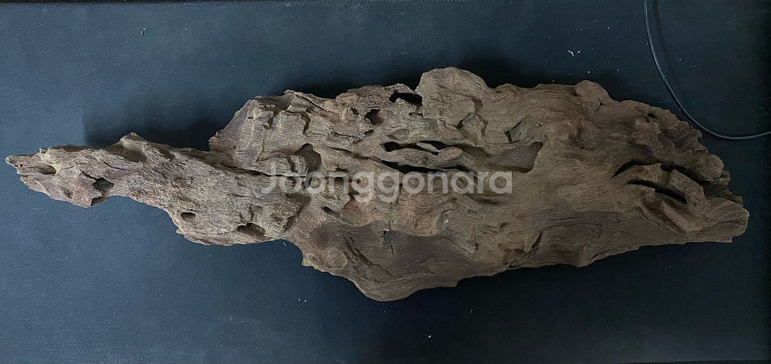 [새제품] 자태가 수려한 유목 세 점을 정리합니다.--2
