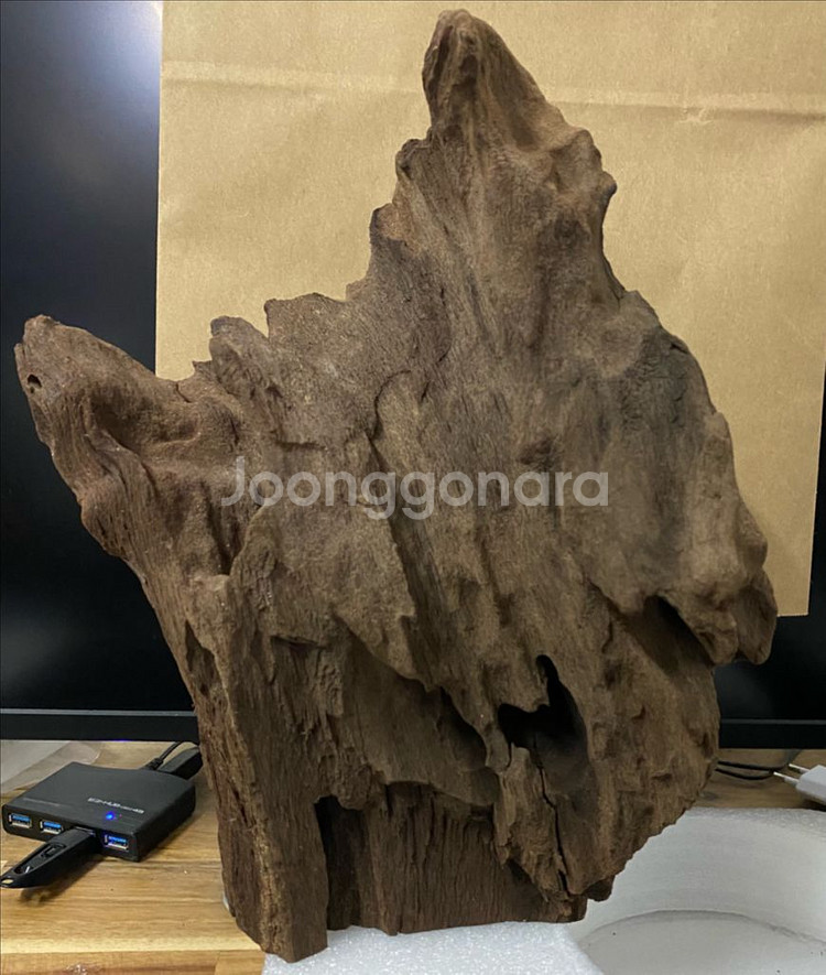 [새제품] 자태가 수려한 유목 세 점을 정리합니다.--0