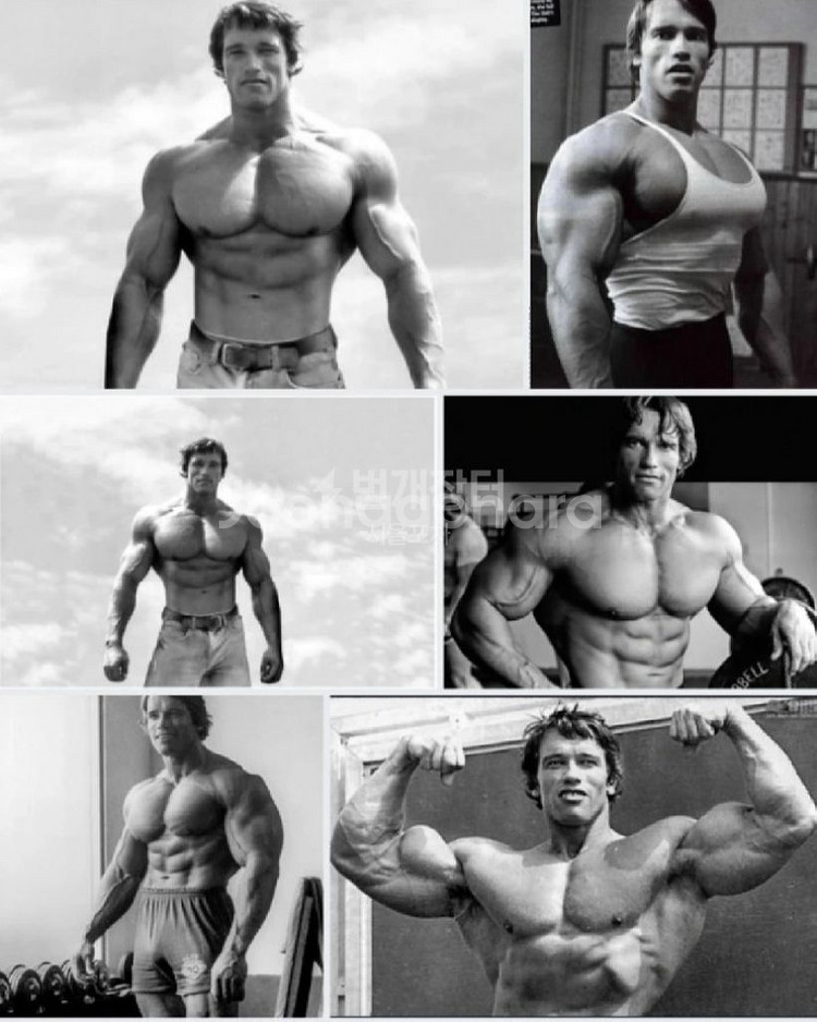 (중고)바벨 알판팝니다.(50kg)--3