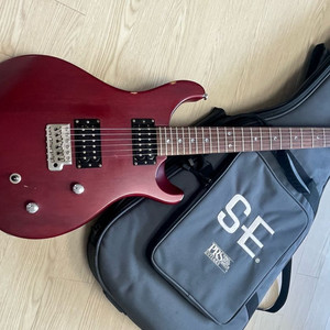 PRS SE STANDARD 24 + 잭슨 하드케이스