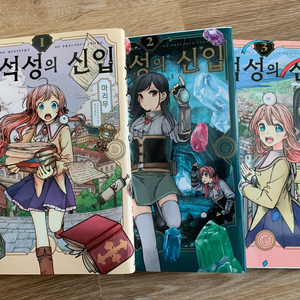 보석성의신입