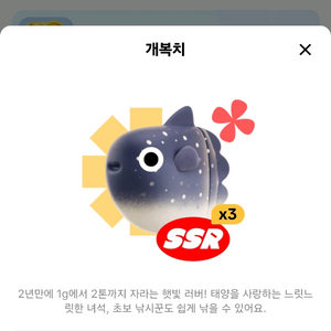 틱톡라이트 개복치