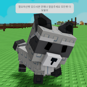 그어가(그로우 어 가든) 라쿤 최저가 판매